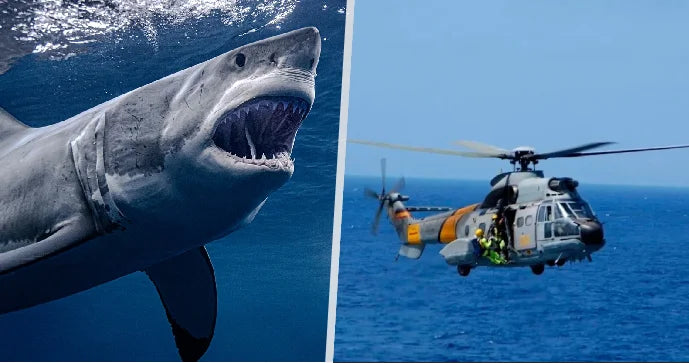 Útok žraloka u Rottnest Island 2026