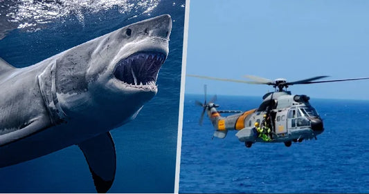 Útok žraloka u Rottnest Island 2026