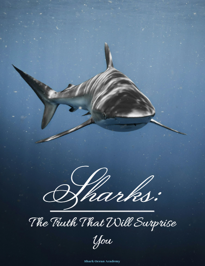Sharks: The Truth That Will Surprise You – educational ebook cover, shark illustration"